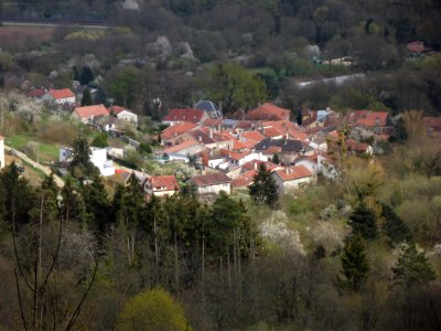 201904_0204 