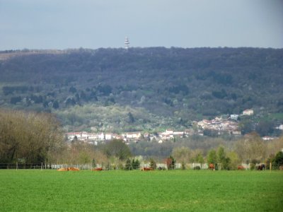 201904_0140 