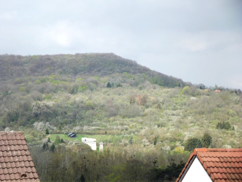 201904_0141 