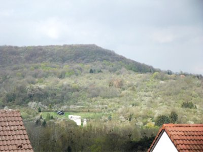 201904_0141 