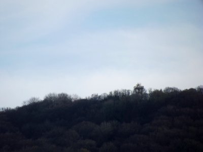 201904_0082 