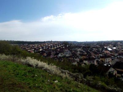 201904_0065 