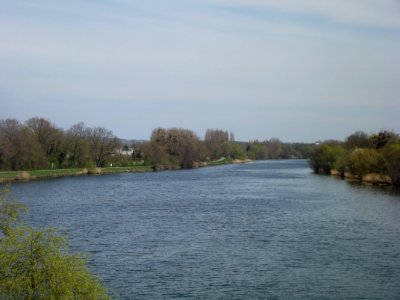 201904_0037 