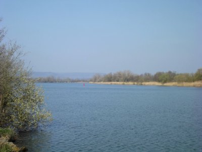 201904_0014 