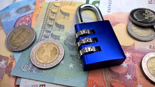 Protection money plant bank note