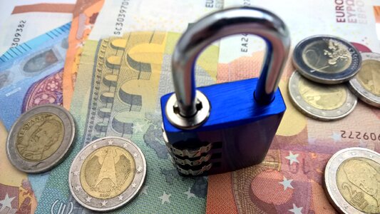 Protection money plant bank note