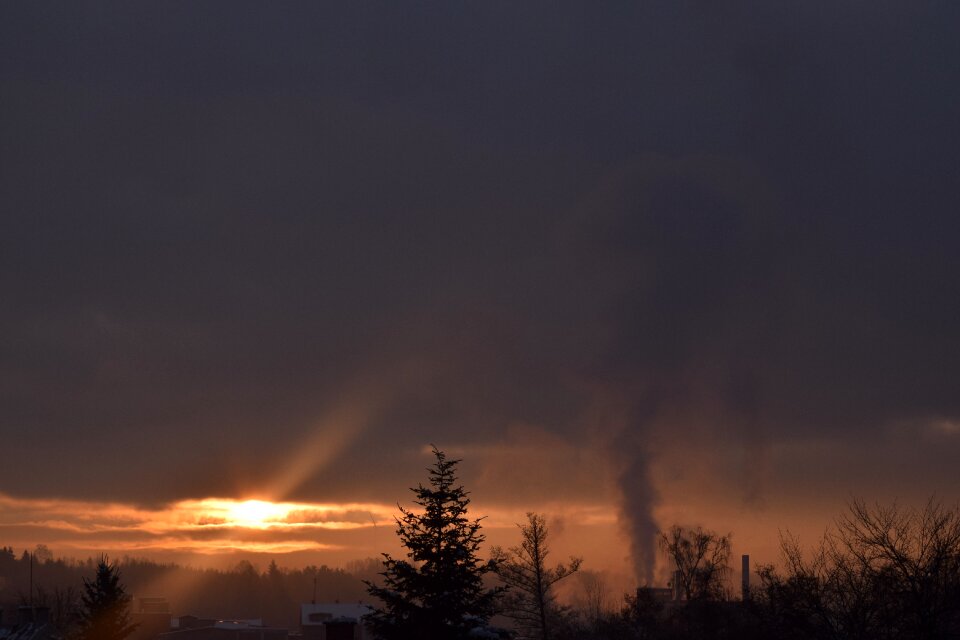 Sunrise fog nature