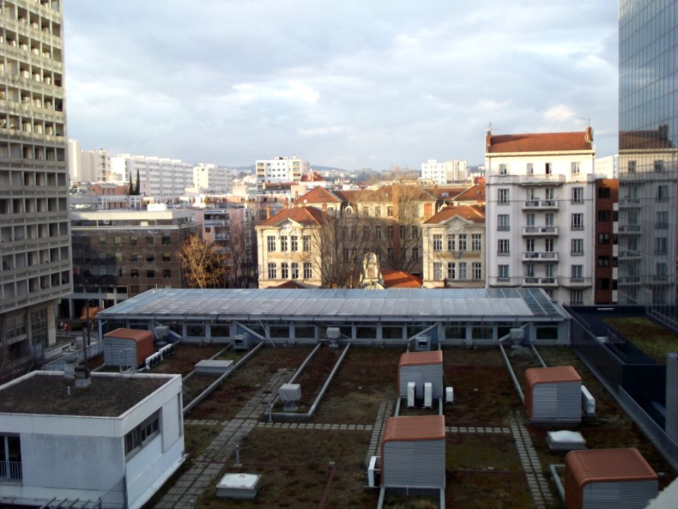 201903_0007 