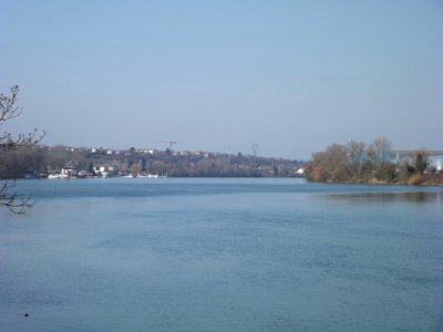 201902_0121 