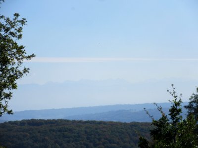 201810_0060 
