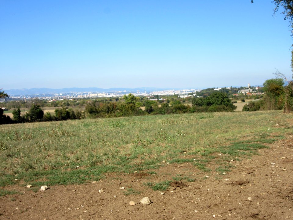 201809_0280 