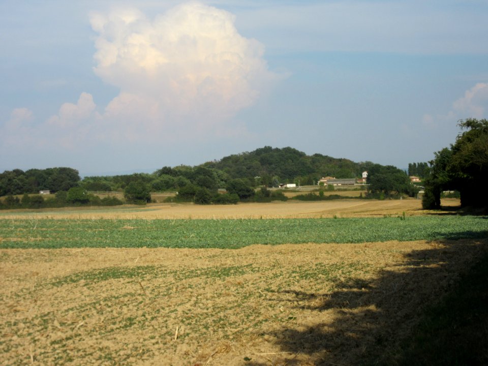201808_0034 