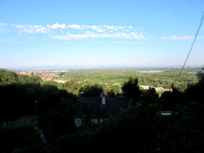 201807_0522 