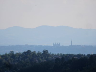 201807_0499 