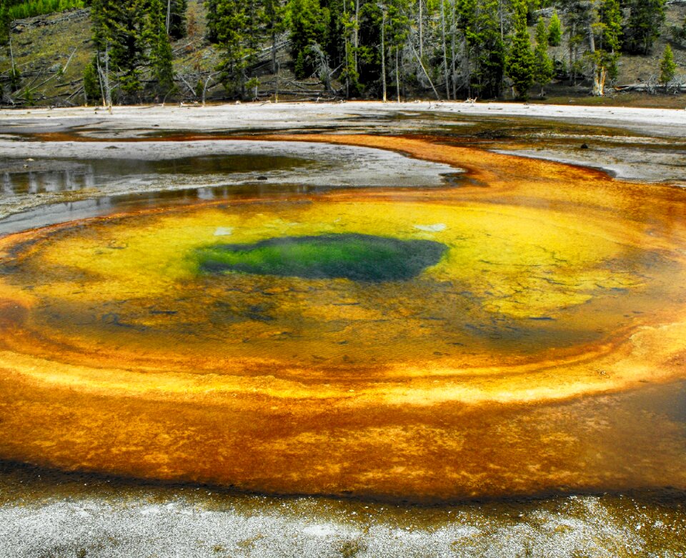 Yellowstone national park