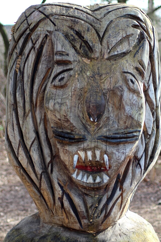 Wood carving expression carve