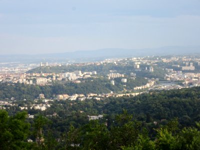 201807_0286 