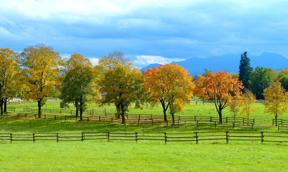 Leaves colorful landscape