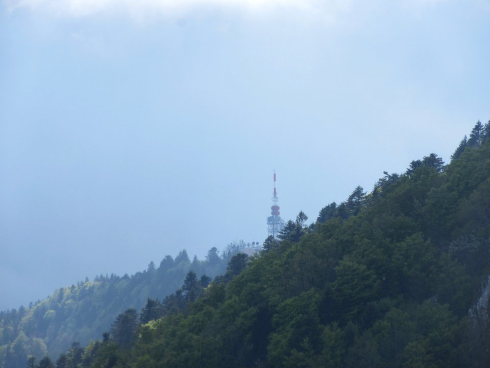 201805_0268 