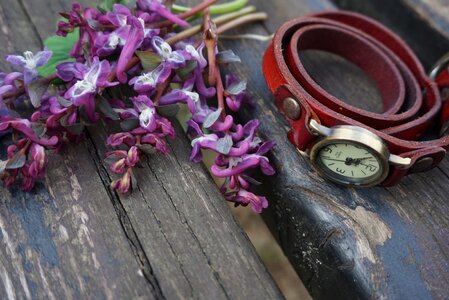 Watches purple flowers