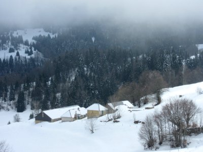 201803_0213 