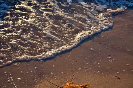 Beach surf ocean waves photo