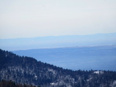 201712_0294 