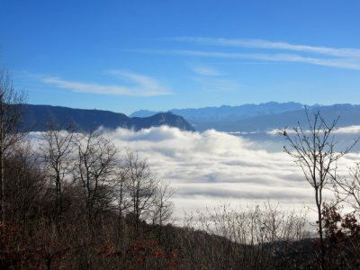 201712_0281 