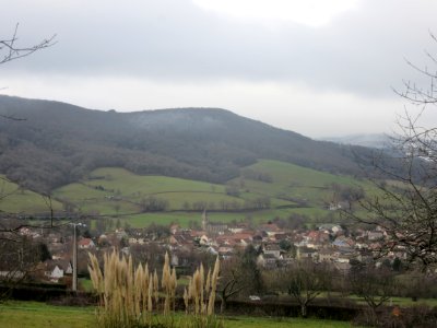 201712_0234 