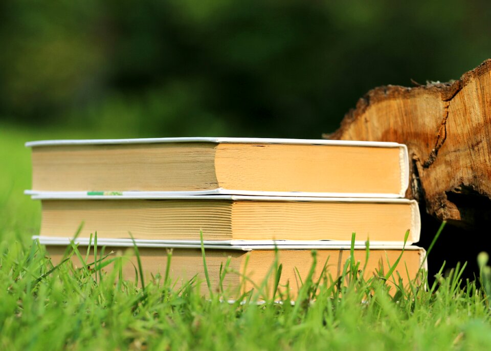 Literature education culture