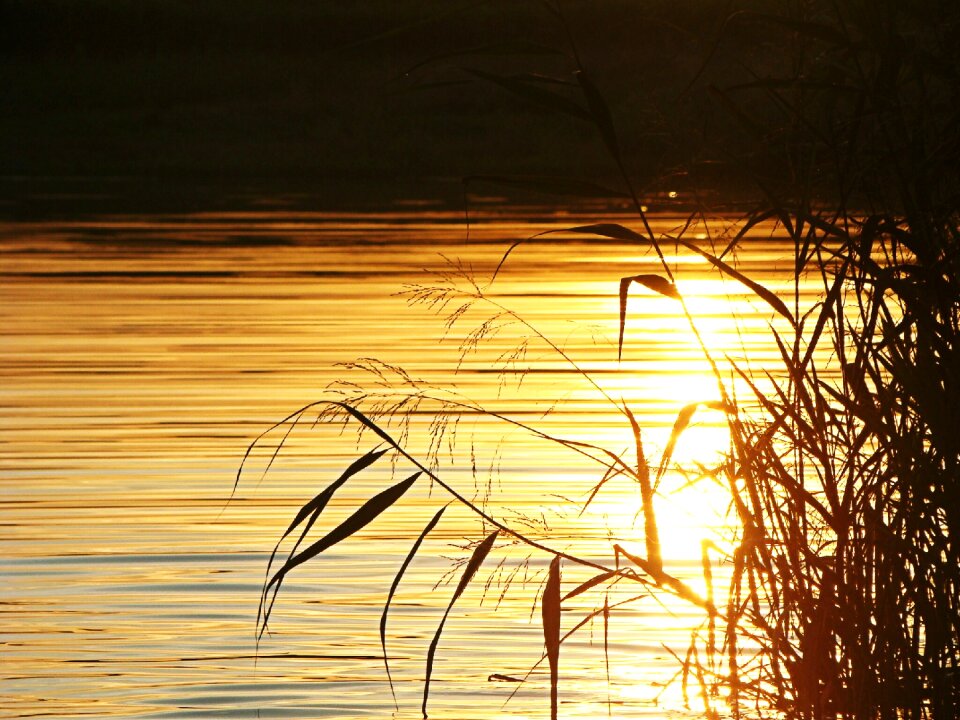 Lens flare sun nature
