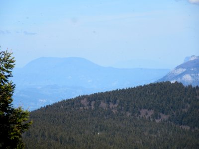 201705_0131 