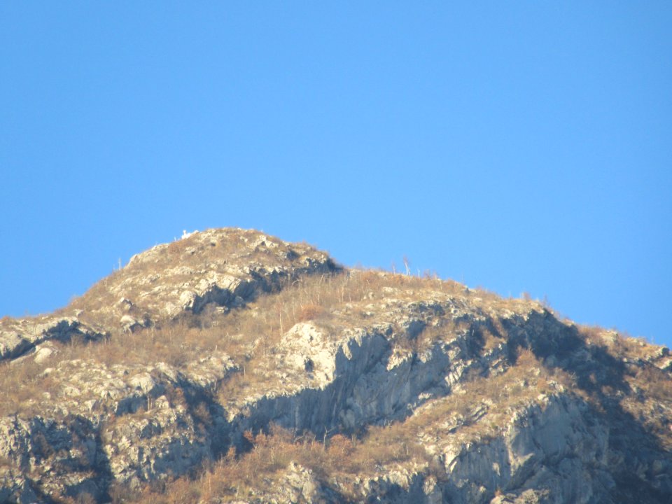 201612_0038 
