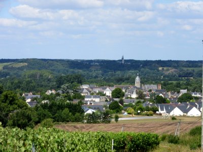 201608_0785 
