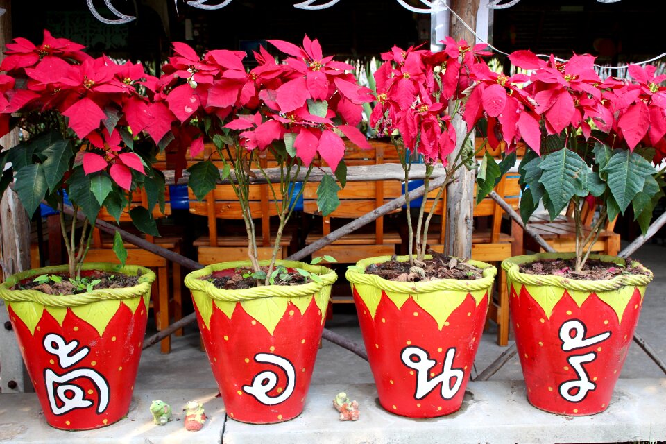 Flower plant pot
