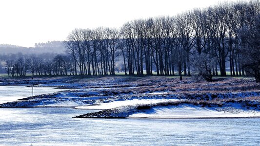 Frozen trees landscape