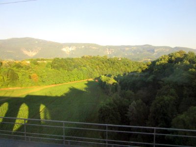 201607_0464 