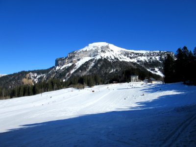 201603_0419 