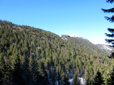 201603_0418 