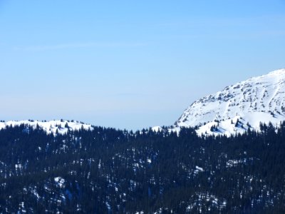 201603_0382 