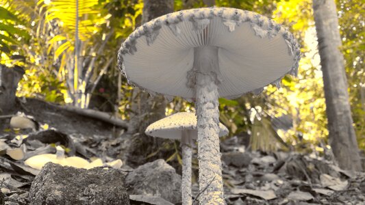 Splash splashed nature