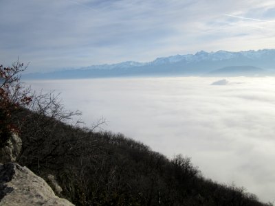 201601_0483 