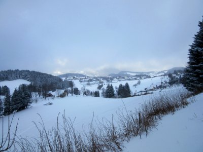 201601_0098 