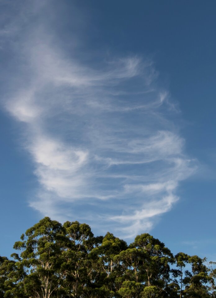 Fluffy delicate pattern