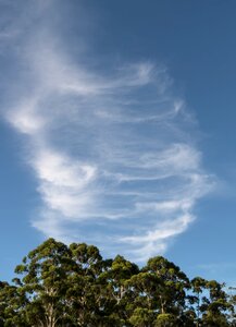Fluffy delicate pattern