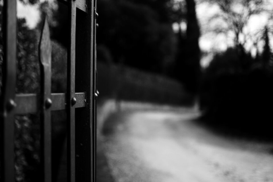 Photo campaign black and white