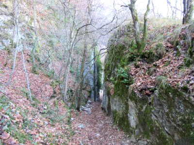 201512_0467 