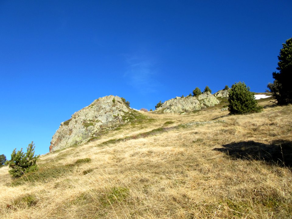 201512_0239 