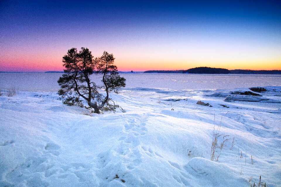 Snow tree water