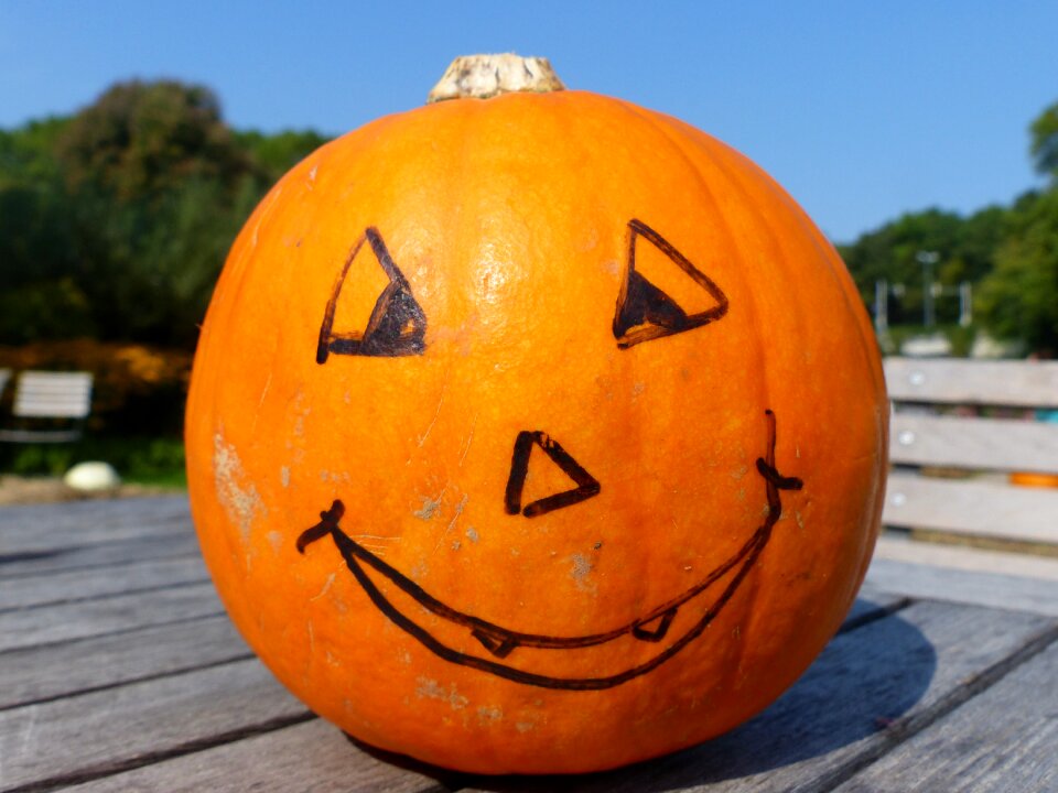 Halloween gourd decoration
